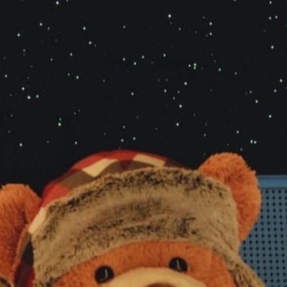 Meet your Posher, Armando - Picture 1 of 1